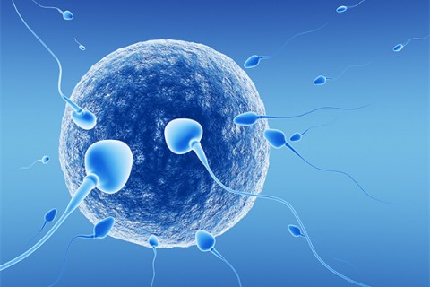 http://hefei.quanwangkm.com/post/218.html|合肥新闻中心